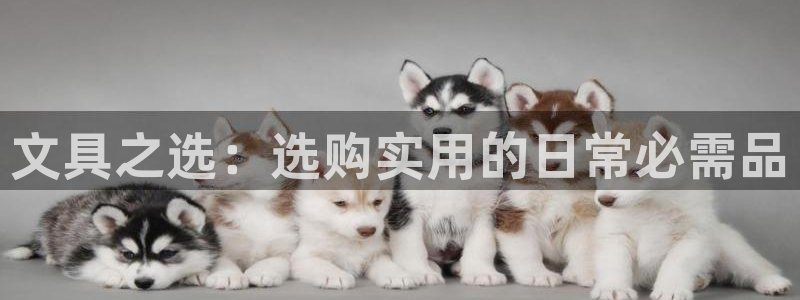彩名堂为什么打不开