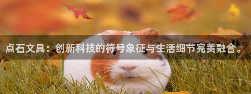 彩名堂使用方法