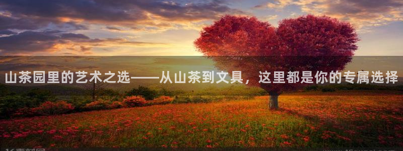 下载彩名堂预测计划软件安卓