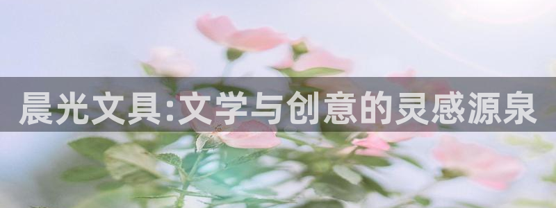 彩名堂免费计划5.0使用方法