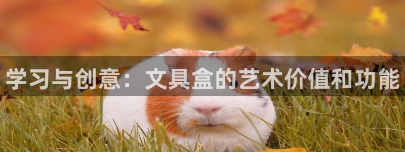 彩名堂50版本计划