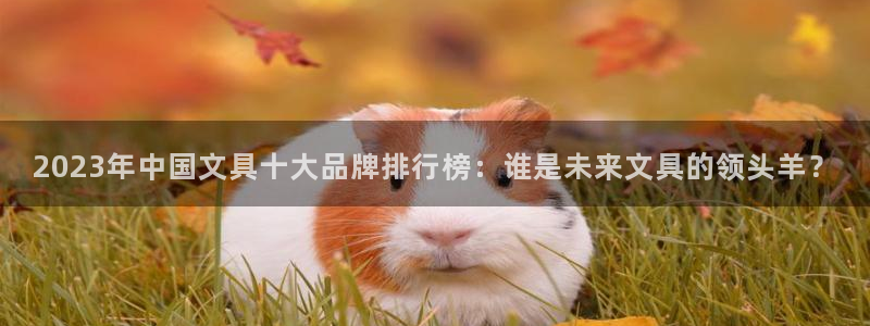 彩名堂app2.05版本