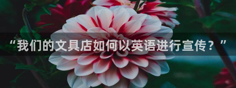 彩名堂免费计划官网购彩计划：“我们的文具