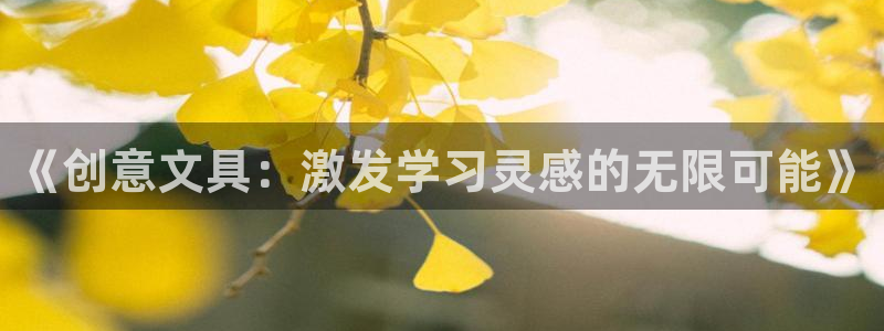 彩名堂和01计划哪个好：《创意文具：激发