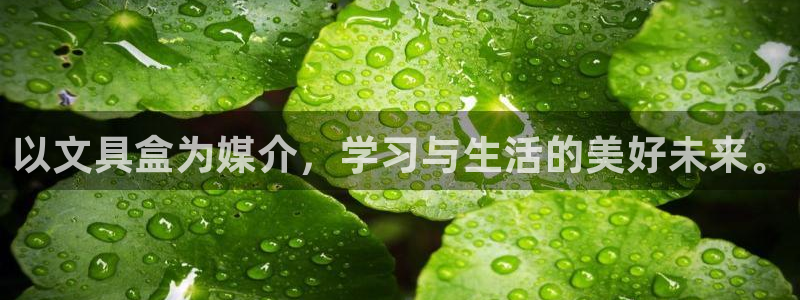 彩名堂app官方网