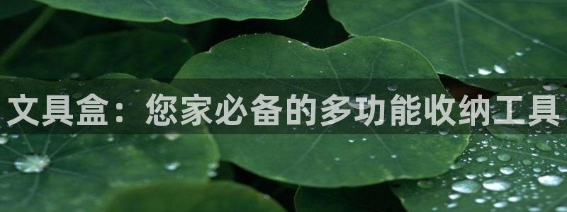 正规彩名堂官网计划01：文具盒：您家必备