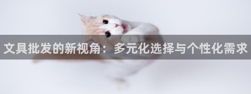 如何进入彩名堂官网更新：文具批发的新视角