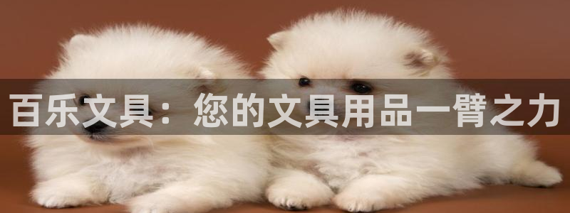 彩名堂免费计划使用方法是什么
