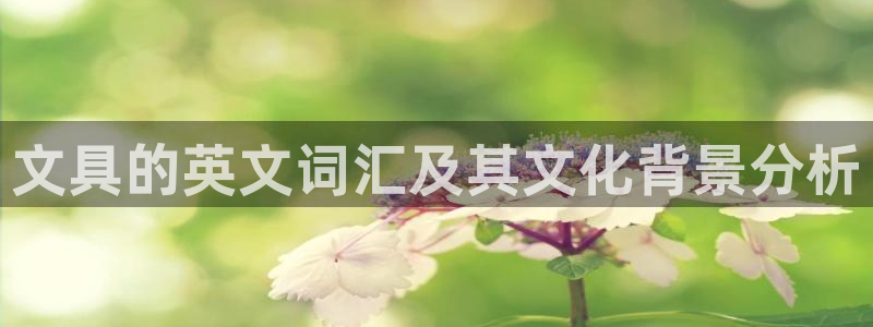 彩名堂移动客户端官网：文具的英文词汇及其