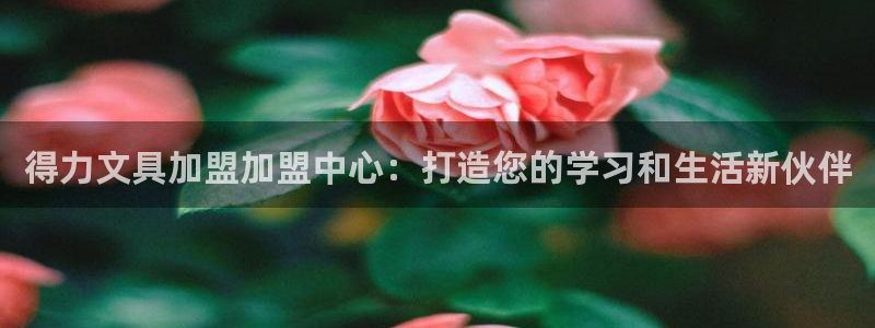 彩名堂开奖结果查询