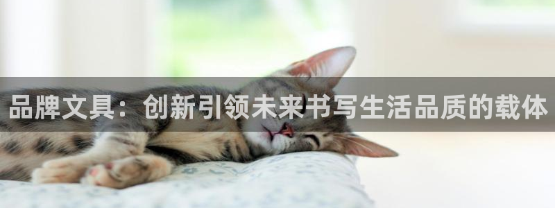 彩名堂计划怎么看：品牌文具：创新引领未来