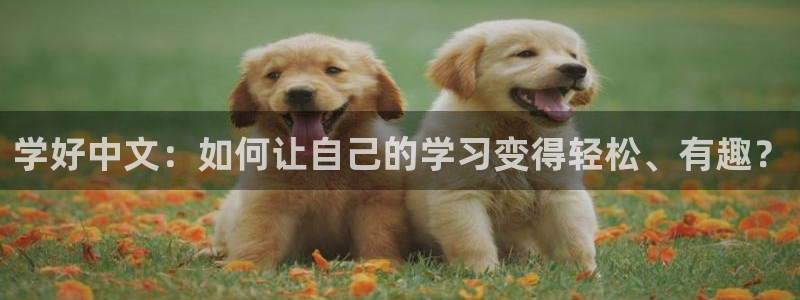 彩名堂最新计划app下载