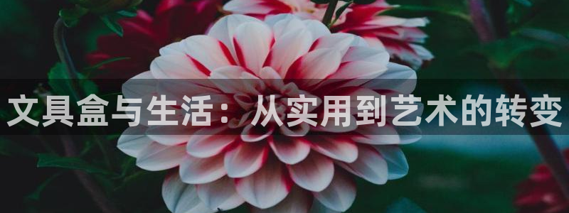 彩名堂计划最新版手机版：文具盒与生活：从