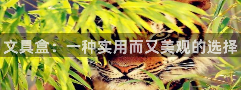 彩名堂免费计划亮点：文具盒：一种实用而又