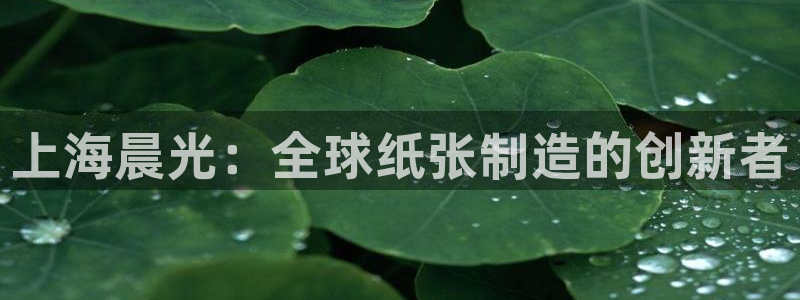 彩名堂计划怎么跟,为什么我一跟就挂：上海