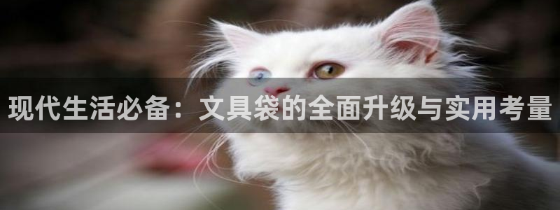 彩名堂安卓客户端官网：现代生活必备：文具