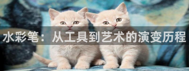 彩名堂最新版www：水彩笔：从工具到艺术