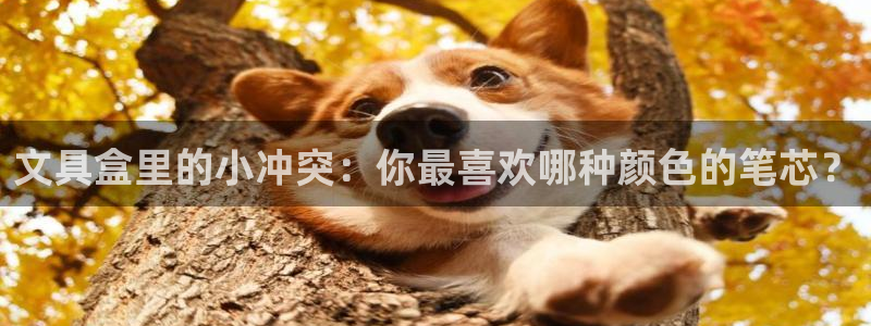 彩名堂怎么选稳定计划产品