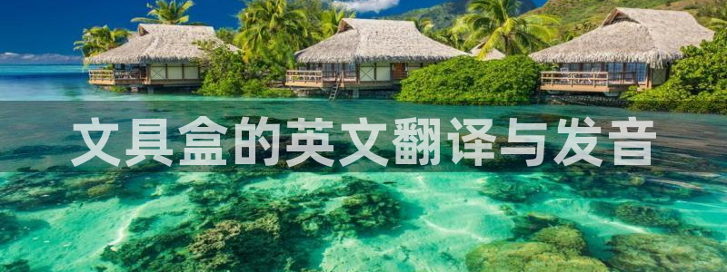 彩名堂975新版本：文具盒的英文翻译与发