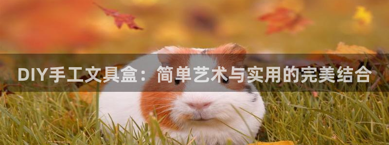 彩名堂计划软件下载：DIY手工文具盒：简