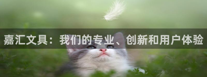 彩名堂免费计划软件下载：嘉汇文具：我们的