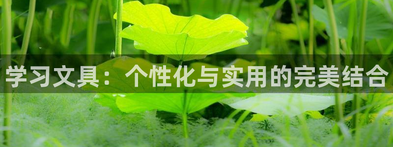 彩名堂怎么跟计划才不连挂呢