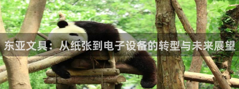彩名堂app官方下载
