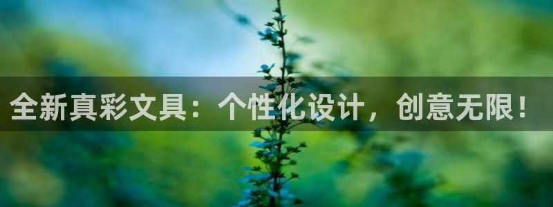 彩名堂为什么打不开：全新真彩文具：个性化