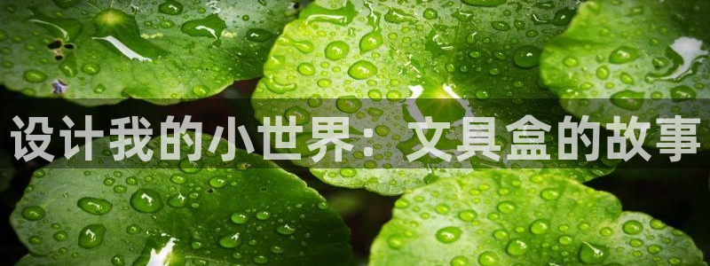 彩名堂01计划：设计我的小世界：文具盒的