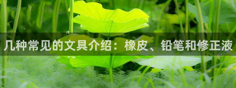 彩名堂怎么选稳定计划产品：几种常见的文具