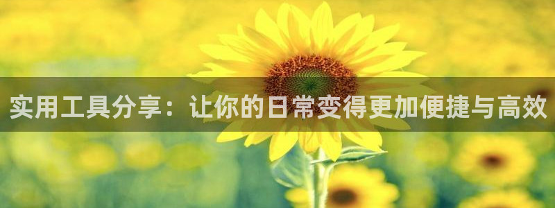 彩名堂怎么用不了了：实用工具分享：让你的
