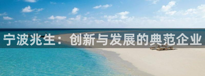 彩名堂免费计划官网老版本：宁波兆生：创新