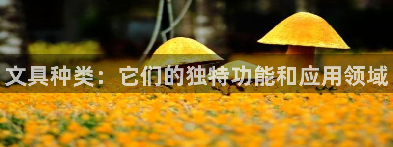 彩名堂免费计划使用方法：文具种类：它们的