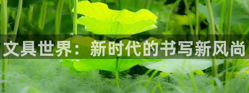 彩名堂和01计划哪个好：文具世界：新时代