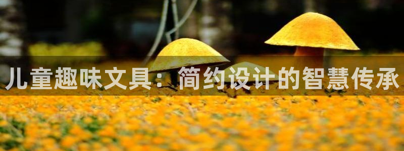 彩名堂预测计划软件：儿童趣味文具：简约设