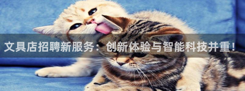 彩名堂APP下载：文具店招聘新服务：创新