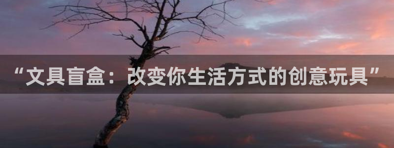 彩名堂app官方下载：“文具盲盒：改变你