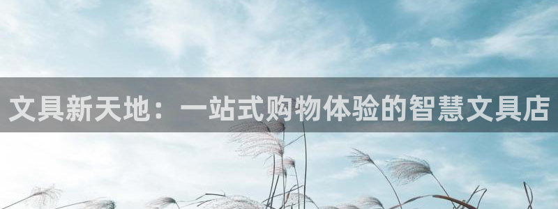 彩名堂计划技巧有哪些：文具新天地：一站式