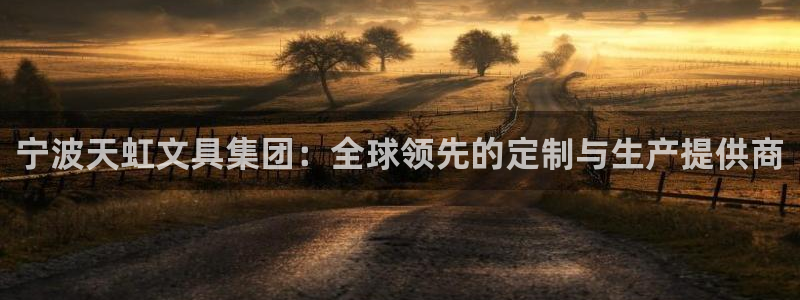 彩名堂免费计划使用方法：宁波天虹文具集团