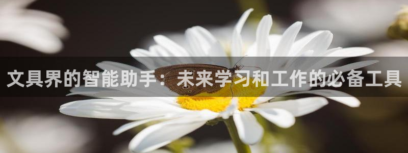 彩名堂免费计划软件下载：文具界的智能助手