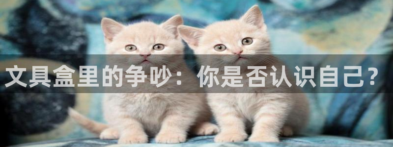 彩名堂免费计划客户端官网：文具盒里的争吵