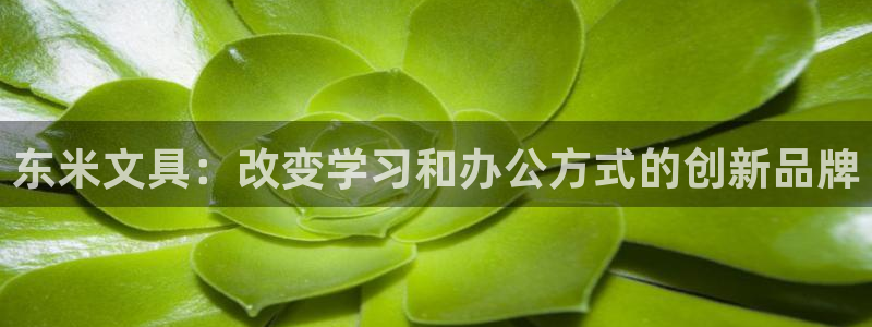 彩名堂app官方下载：东米文具：改变学习