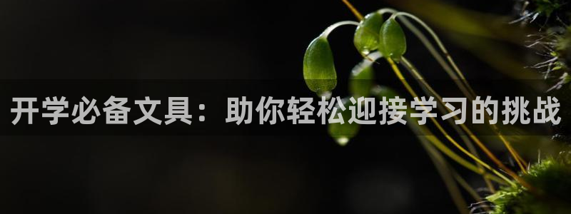 彩名堂不能用了吗：开学必备文具：助你轻松