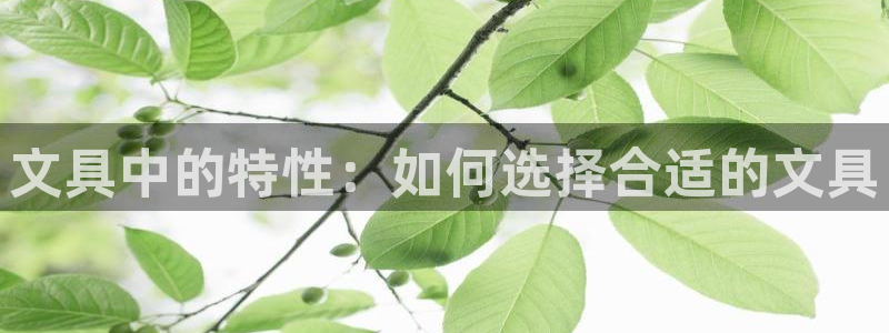 彩名堂预测网站：文具中的特性：如何选择合