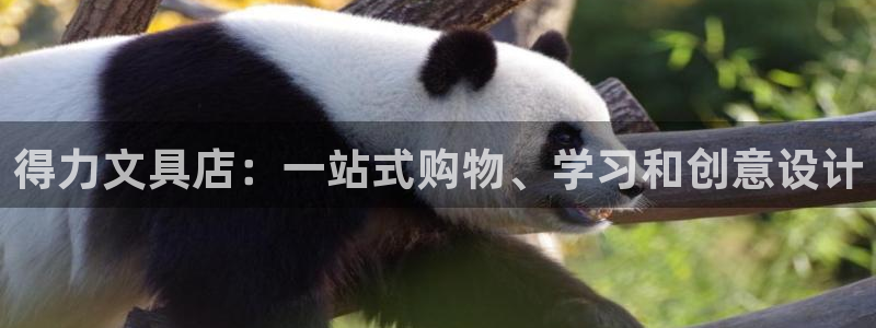 彩名堂免费计划官网老版本：得力文具店：一