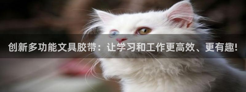 彩名堂平台：创新多功能文具胶带：让学习和