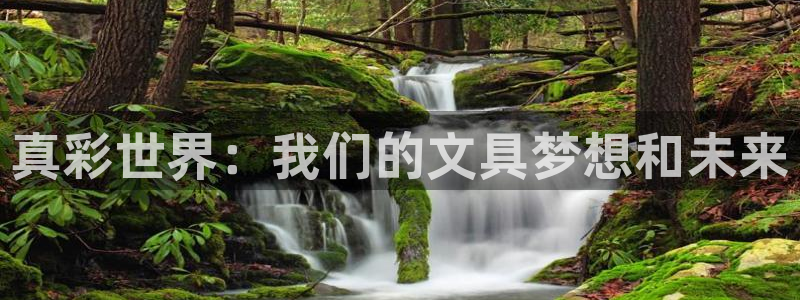 如何进入彩名堂官网更新：真彩世界：我们的