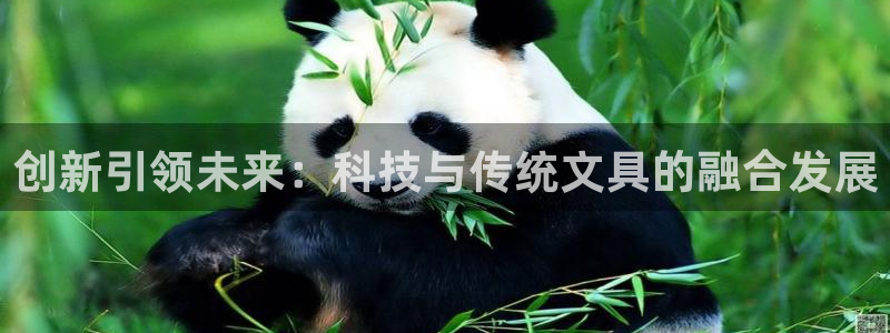 彩名堂计划怎么跟,为什么我一跟就挂：创新