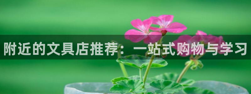 彩名堂免费计划官网5.0.0：附近的文具