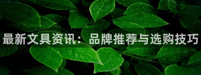 彩名堂苹果客户端：最新文具资讯：品牌推荐